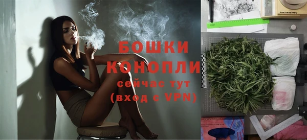 дмт Мегион