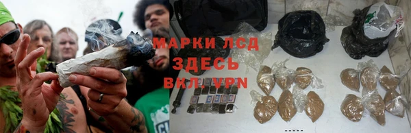 дмт Мегион
