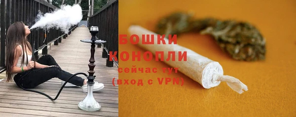 дмт Мегион