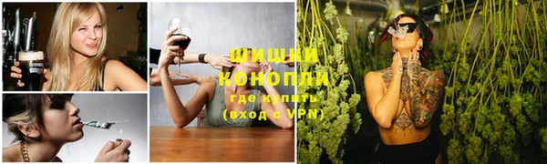 дмт Мегион